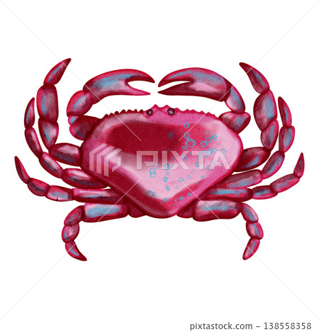 Watercolor illustration of a bright pink and purple crab. Cute marine crustacean. Bright illustrations, suitable for sea travel, cheerful summer designs, textiles, summer clothing. Print for kids Watercolor illustration of a bright pink and purple crab. Cute marine crustacean. Bright illustrations, suitable for sea travel, cheerful summer designs, textiles, summer clothing. Print for kids 138558358