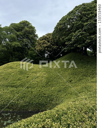 Green landscape with rolling hills and trees in Japanese park. Concept of nature, tranquility, and outdoor environment. Scenic view of lush greenery under cloudy sky. 138558460