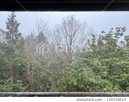 冬日森林,框景(地點:富山縣立山町吉峰綠園;拍攝日期:2月) 冬日森林,框景(地點:富山縣立山町吉峰綠園;拍攝日期:2月) 138559014