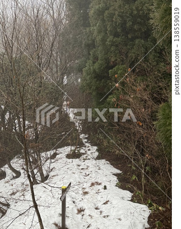 冬日森林與雪徑（地點：富山縣立山町吉峰綠園；拍攝日期：2月） 138559019