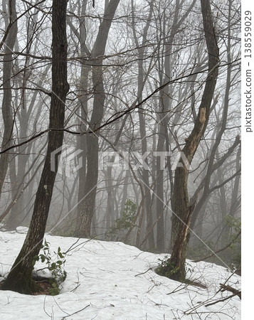Winter forest and snow-covered mountains (Location: Green Park Yoshimine, Tateyama Town, Toyama Prefecture; Date of photo: February) 138559029