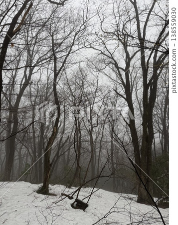 Winter forest and snow-covered mountains (Location: Green Park Yoshimine, Tateyama Town, Toyama Prefecture; Date of photo: February) 138559030