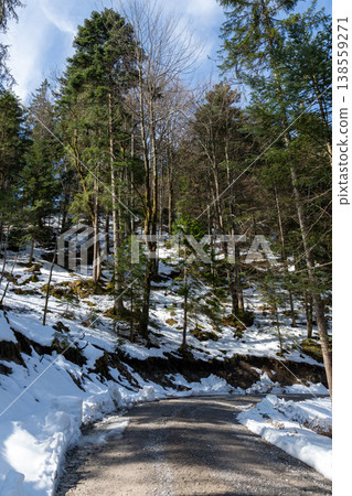 Curving gravel road in snowy evergreen forest Curving gravel road in snowy evergreen forest 138559271