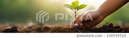 young woman planting young tree in the garden 138559310