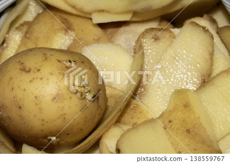 Close up of potato peelings ready to be composted Close up of potato peelings ready to be composted 138559767