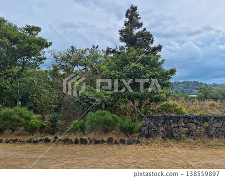 Outdoor park with autumn grass and trees. 138559897