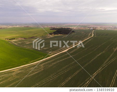 Aerial view of rolling green agricultural fields with winding dirt road and tractor tracks under cloudy spring sky Aerial view of rolling green agricultural fields with winding dirt road and tractor tracks under cloudy spring sky 138559910