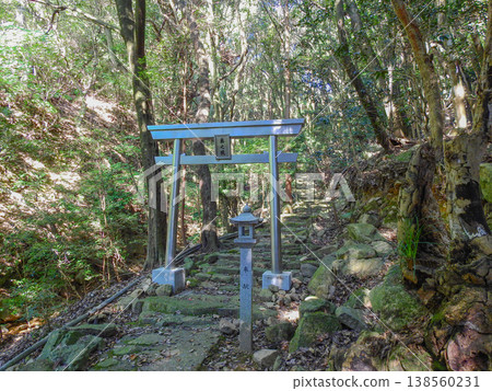 Chofu Ishizuchi Shrine, located at the foot of Mt. Shioji in Shimonoseki City, Yamaguchi Prefecture. 138560231
