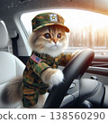 A tiny driver in camouflage, a cat in army attire gripping the steering wheel in the sunlight after the rain – a driving mission. 138560290