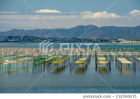 A sea lettuce farming grounds (Lake Hamana, Shizuoka Prefecture) A sea lettuce farming grounds (Lake Hamana, Shizuoka Prefecture) 138560635