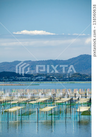 A sea lettuce farming grounds (Lake Hamana, Shizuoka Prefecture) 138560638