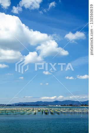 A sea lettuce farming grounds (Lake Hamana, Shizuoka Prefecture) A sea lettuce farming grounds (Lake Hamana, Shizuoka Prefecture) 138560639