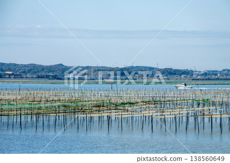 A sea lettuce farming grounds (Lake Hamana, Shizuoka Prefecture) 138560649
