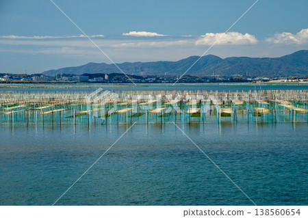 A sea lettuce farming grounds (Lake Hamana, Shizuoka Prefecture) 138560654