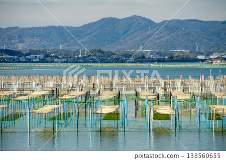 A sea lettuce farming grounds (Lake Hamana, Shizuoka Prefecture) 138560655