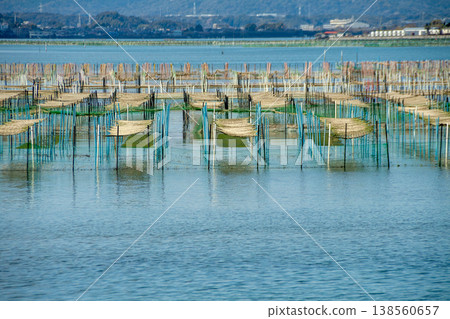 海萵苣養殖場(靜岡縣濱名湖) 海萵苣養殖場(靜岡縣濱名湖) 138560657