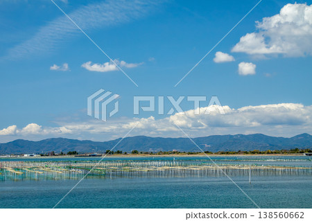 A sea lettuce farming grounds (Lake Hamana, Shizuoka Prefecture) A sea lettuce farming grounds (Lake Hamana, Shizuoka Prefecture) 138560662