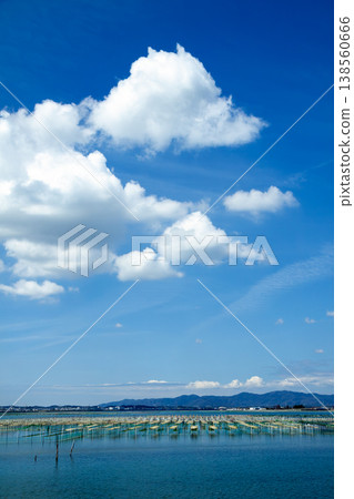 海萵苣養殖場(靜岡縣濱名湖) 海萵苣養殖場(靜岡縣濱名湖) 138560666