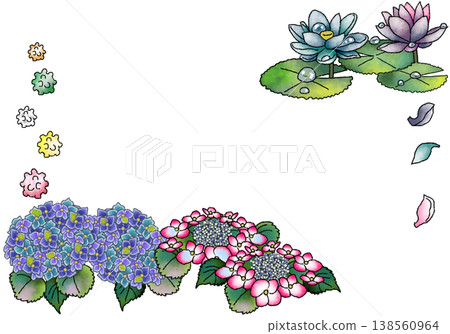 雨季的繡球花和蓮花（PNG格式，透明背景） 138560964