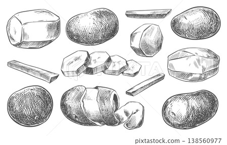 Vector potatoes whole, halved, sliced, and peeled. Vector sketch, hand-drawn with ink and brush. Line illustration of the autumn harvest. Vector potatoes whole, halved, sliced, and peeled. Vector sketch, hand-drawn with ink and brush. Line illustration of the autumn harvest. 138560977