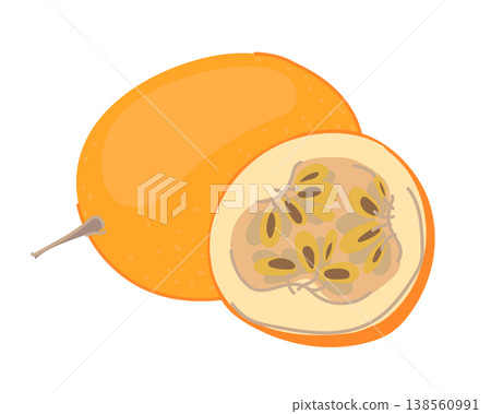 A ripe, whole granadilla, its juicy flesh and seeds. Fresh, sweet passion fruit. Tropical composition of a whole fruit and slice. Colored hand drawn vector illustration isolated on a white background A ripe, whole granadilla, its juicy flesh and seeds. Fresh, sweet passion fruit. Tropical composition of a whole fruit and slice. Colored hand drawn vector illustration isolated on a white background 138560991