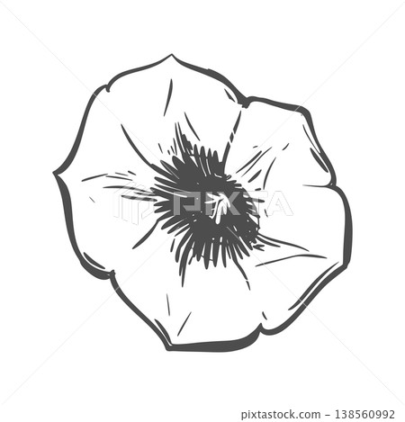 Batat flower sketch. Vector illustration Field bindweed. Engraving style. A sweet potato leaf lies on a table against a white background. Hand drawn Railroad vine, imitating etching. Batat flower sketch. Vector illustration Field bindweed. Engraving style. A sweet potato leaf lies on a table against a white background. Hand drawn Railroad vine, imitating etching. 138560992