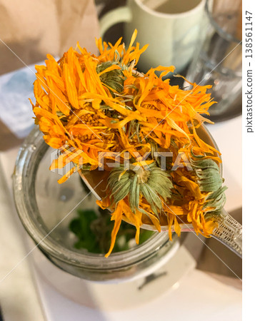 Dried calendula flowers are held above a jar in a kitchen. The process involves preparing these herbs for herbal tea. Fresh green herbs are also present in the jar nearby Dried calendula flowers are held above a jar in a kitchen. The process involves preparing these herbs for herbal tea. Fresh green herbs are also present in the jar nearby 138561147