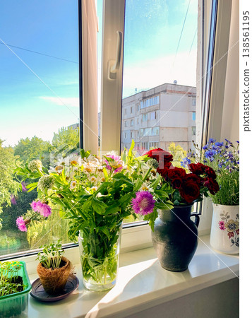 A vase with seasonal flowers sits on a windowsill in an apartment. Sunlight shines through the window, highlighting the colorful blooms and greenery 138561195