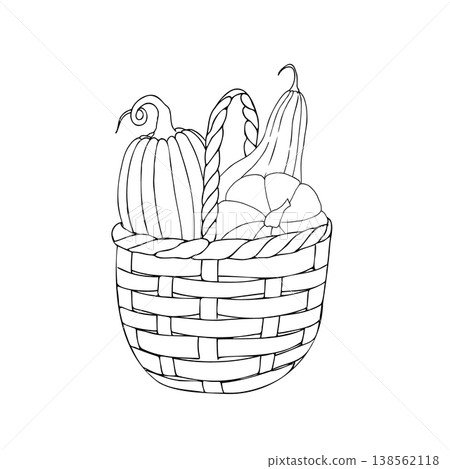 Vector wicker basket with pumpkins, graphic hand drawn isolated illustration. Halloween autumn vegetable perfect for harvest and thanksgiving themes. Isolated botanical illustration for seasonal food Vector wicker basket with pumpkins, graphic hand drawn isolated illustration. Halloween autumn vegetable perfect for harvest and thanksgiving themes. Isolated botanical illustration for seasonal food 138562118