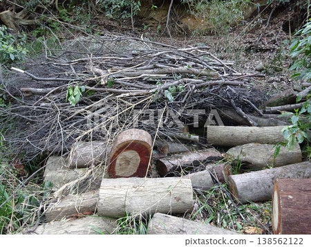 托多羅基山谷的道路封閉措施已解除。 138562122