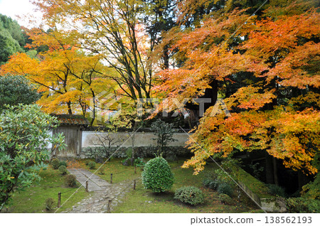 京都龜岡市法成寺的秋葉 京都龜岡市法成寺的秋葉 138562193