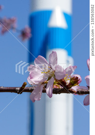 藍天下，太空櫻花與火箭交相輝映。 138563082