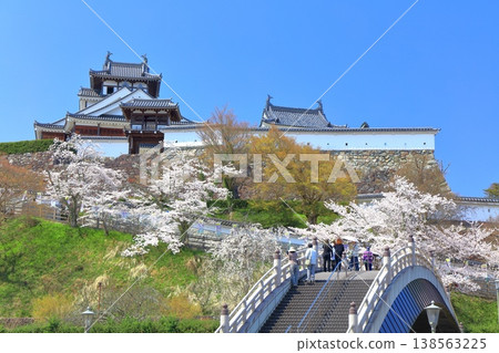 【京都府】福知山城與升龍橋,櫻花盛開。 【京都府】福知山城與升龍橋,櫻花盛開。 138563225