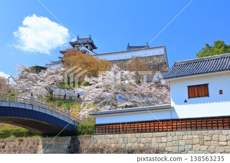 【京都】福知山城櫻花盛開 【京都】福知山城櫻花盛開 138563235