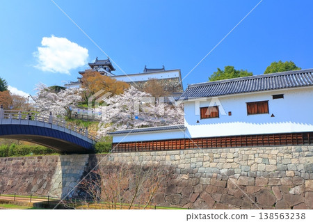 [Kyoto Prefecture] Fukuchiyama Castle and Sato Taisei Memorial Museum with cherry blossoms in full bloom 138563238
