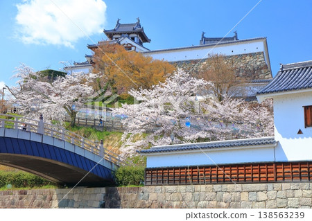 【京都】福知山城櫻花盛開 【京都】福知山城櫻花盛開 138563239