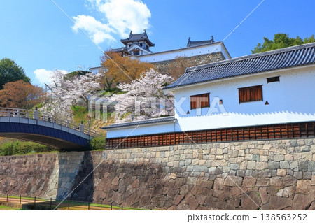 【京都府】福知山城與佐藤大成紀念館櫻花盛開。 138563252