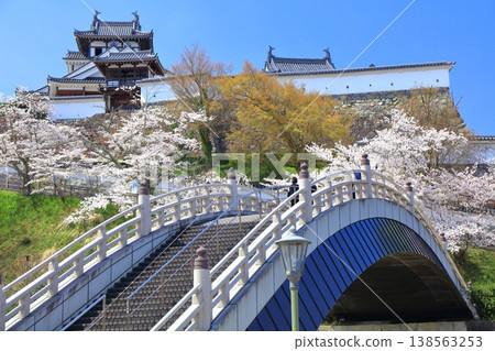 【京都府】福知山城與升龍橋,櫻花盛開。 【京都府】福知山城與升龍橋,櫻花盛開。 138563253