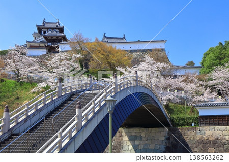 【京都府】福知山城與升龍橋,櫻花盛開。 【京都府】福知山城與升龍橋,櫻花盛開。 138563262