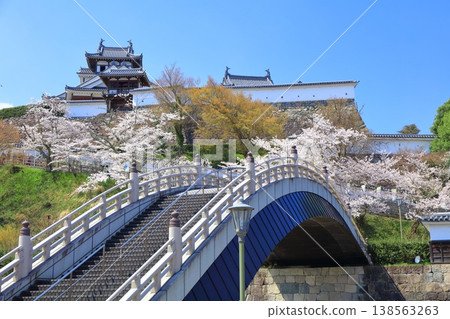 【京都府】福知山城與升龍橋,櫻花盛開。 【京都府】福知山城與升龍橋,櫻花盛開。 138563263