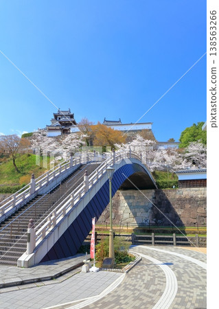 【京都府】福知山城與升龍橋，櫻花盛開。 138563266