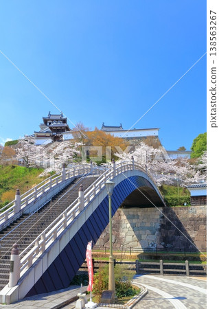 【京都府】福知山城與升龍橋，櫻花盛開。 138563267