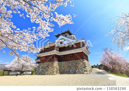 【京都】福知山城櫻花盛開 【京都】福知山城櫻花盛開 138563290