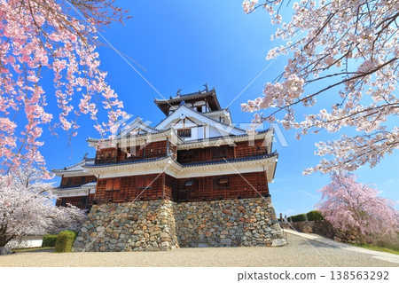 [Kyoto Prefecture] Fukuchiyama Castle with cherry blossoms in full bloom 138563292