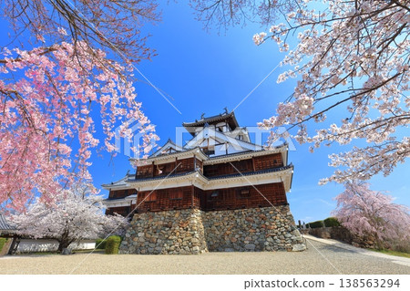 【京都】福知山城櫻花盛開 【京都】福知山城櫻花盛開 138563294