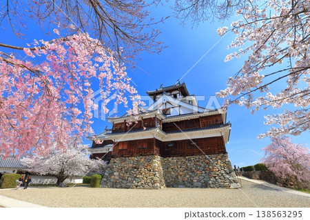 【京都】福知山城櫻花盛開 138563295