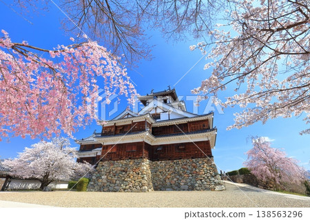 【京都】福知山城櫻花盛開 138563296