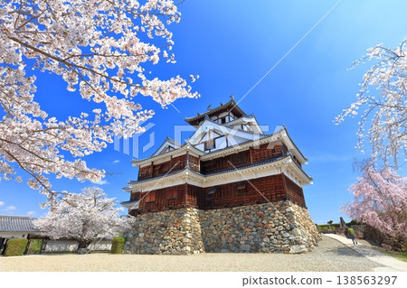 [Kyoto Prefecture] Fukuchiyama Castle with cherry blossoms in full bloom 138563297