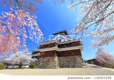 [Kyoto Prefecture] Fukuchiyama Castle with cherry blossoms in full bloom 138563298