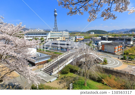 [Kyoto Prefecture] Fukuchiyama Railway Museum Fukureru and cherry blossoms in full bloom (Fukuchiyama Castle Park) 138563317